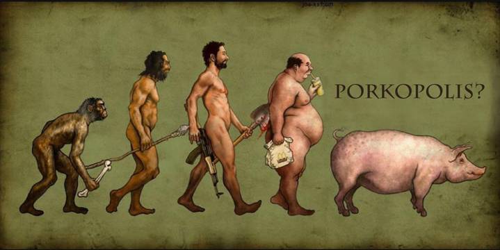 evolution to fat